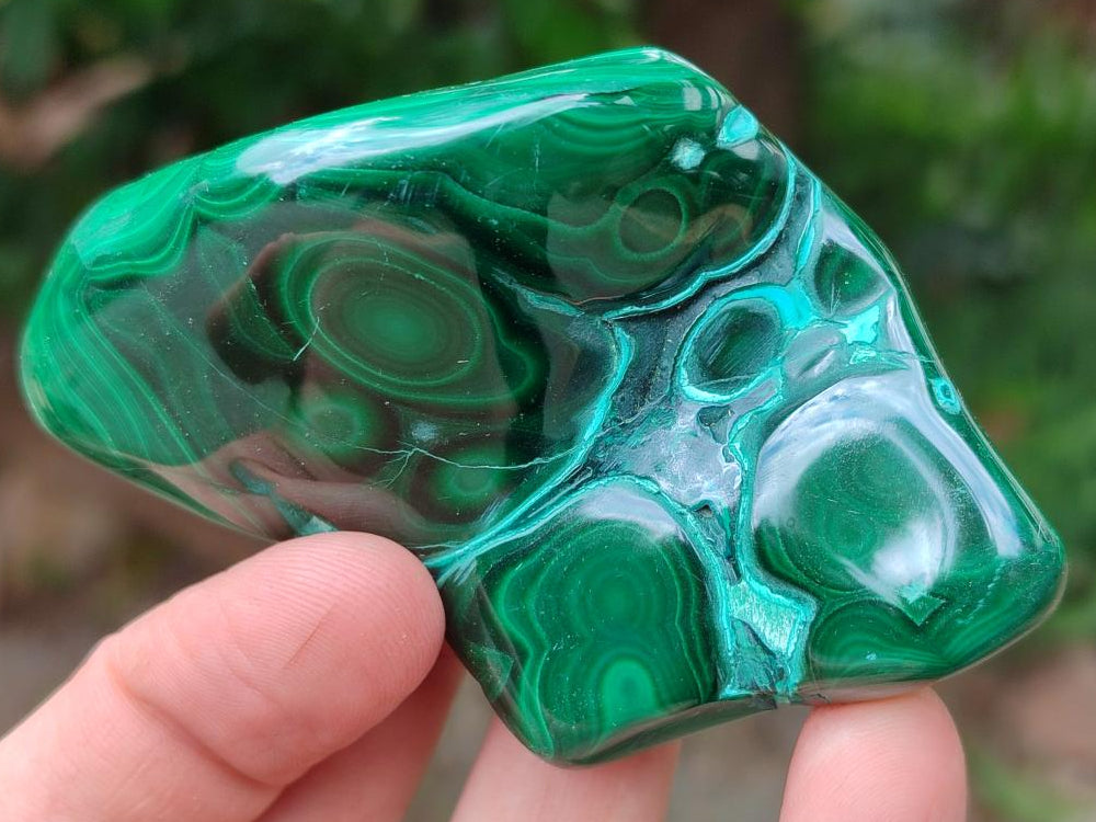 Polished Flower Banded Malachite Free Forms x 6 From Congo