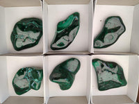 Polished Flower Banded Malachite Free Forms x 6 From Congo