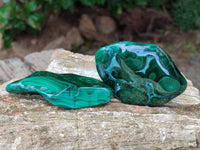 Polished Flower Banded Malachite Free Forms x 6 From Congo