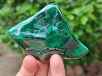 Polished Flower Banded Malachite Free Forms x 6 From Congo