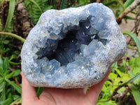 Natural Blue Celestite Geode Specimen x 1 From Sakoany, Madagascar