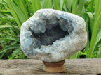 Natural Blue Celestite Geode Specimen x 1 From Sakoany, Madagascar - Toprock Gemstones and Minerals 