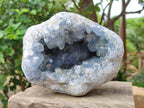 Natural Blue Celestite Geode Specimen x 1 From Sakoany, Madagascar - Toprock Gemstones and Minerals 