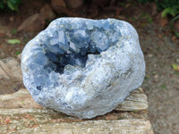 Natural Blue Celestite Geode Specimen x 1 From Sakoany, Madagascar