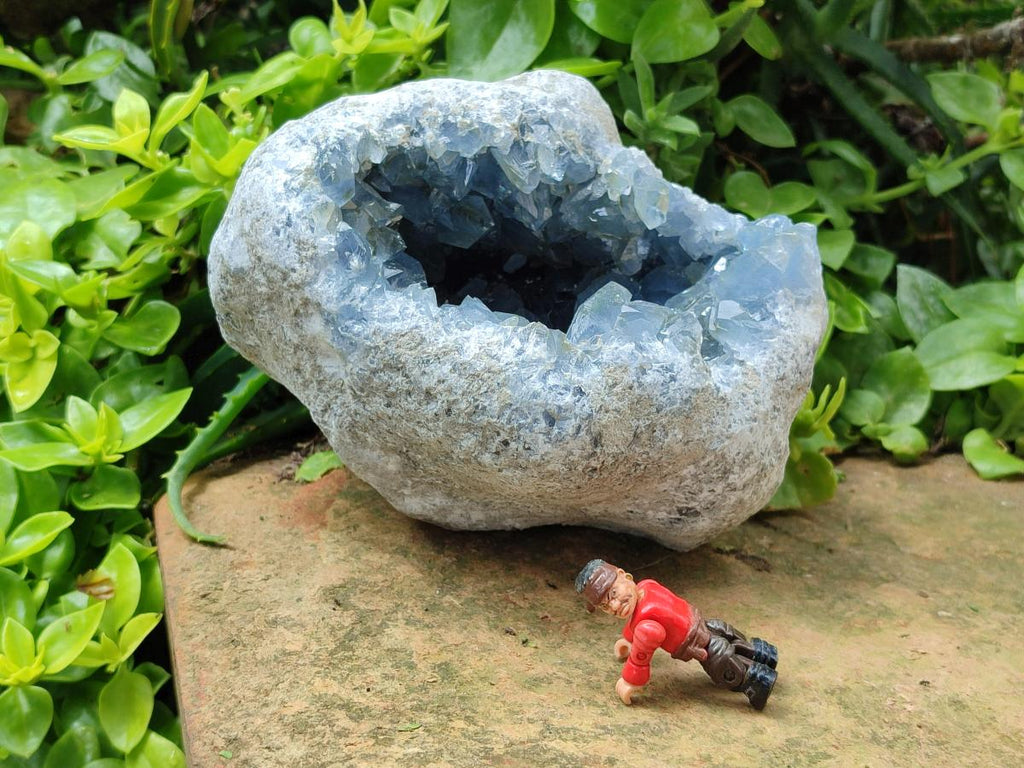 Natural Blue Celestite Geode Specimen x 1 From Sakoany, Madagascar - Toprock Gemstones and Minerals 