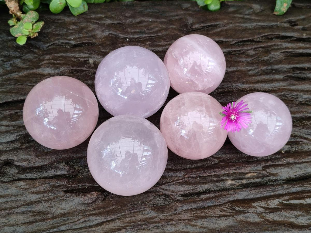 Polished Gemmy Star Rose Quartz Spheres x 6 From Madagascar - Toprock Gemstones and Minerals 