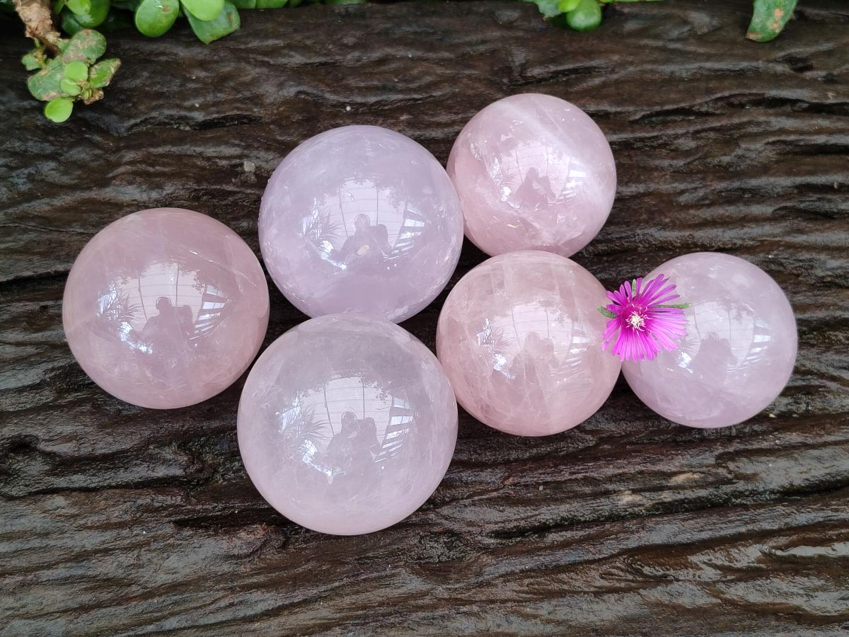Polished Gemmy Star Rose Quartz Spheres x 6 From Madagascar