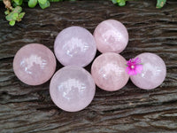 Polished Gemmy Star Rose Quartz Spheres x 6 From Madagascar