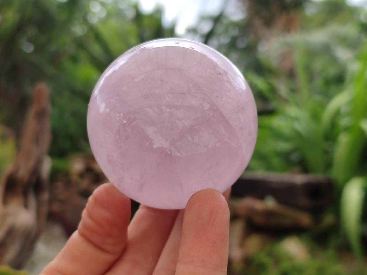 Polished Gemmy Star Rose Quartz Spheres x 6 From Madagascar