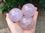 Polished Gemmy Star Rose Quartz Spheres x 6 From Madagascar - Toprock Gemstones and Minerals 