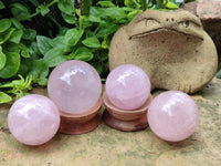 Polished Gemmy Star Rose Quartz Spheres x 6 From Madagascar