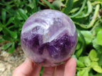 Polished Chevron Amethyst Spheres x 2 From Madagascar