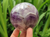Polished Chevron Amethyst Spheres x 2 From Madagascar