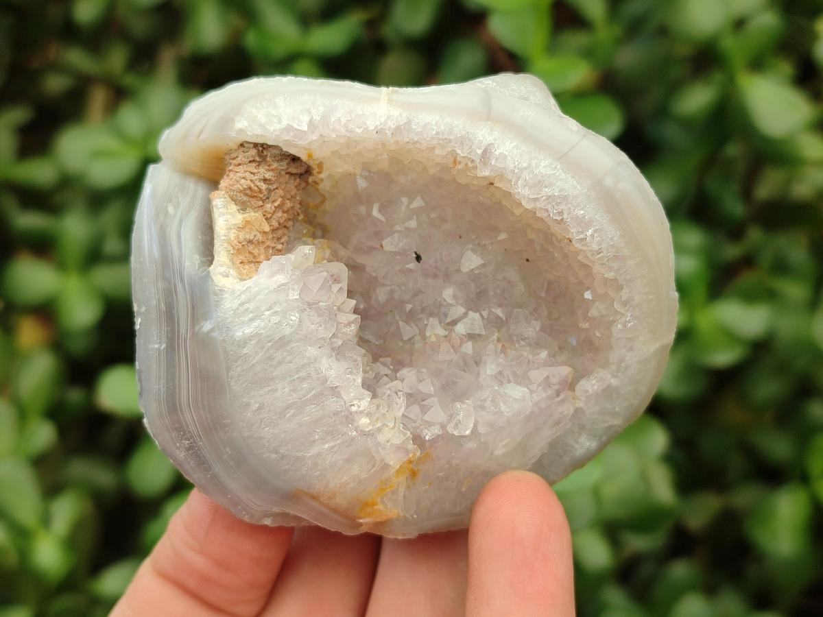 Polished Mixed Agate Geodes x 12 From Maintirano, Madagascar