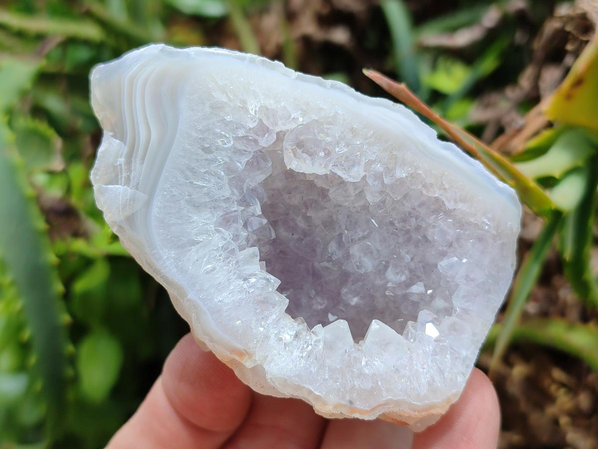 Polished Mixed Agate Geodes x 12 From Maintirano, Madagascar