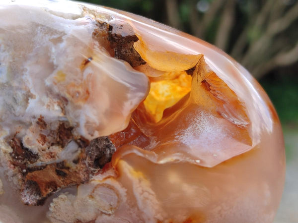 Polished Mixed Flower Agate Specimens x 3 From Antsahalova, Madagascar