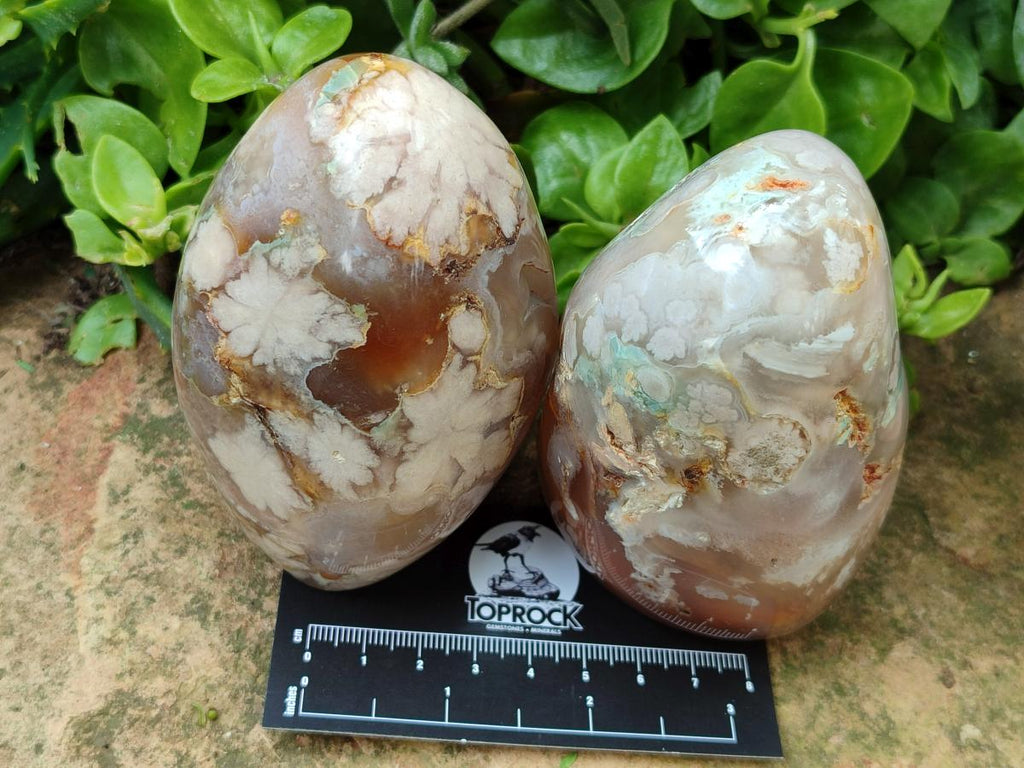 Polished Mixed Flower Agate Specimens x 3 From Antsahalova, Madagascar