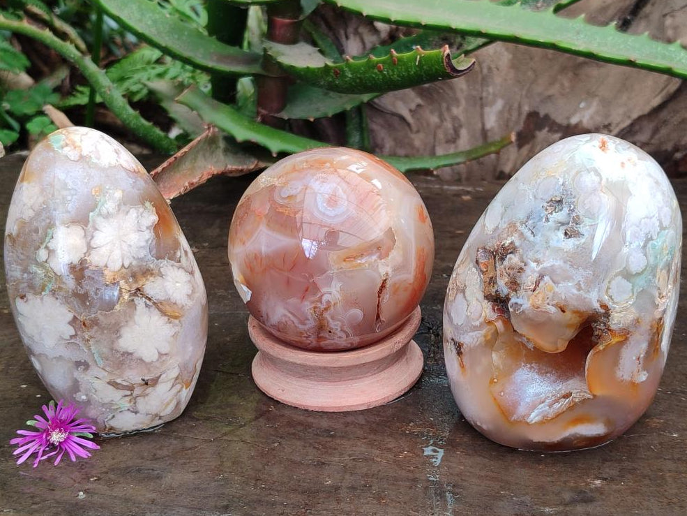 Polished Mixed Flower Agate Specimens x 3 From Antsahalova, Madagascar
