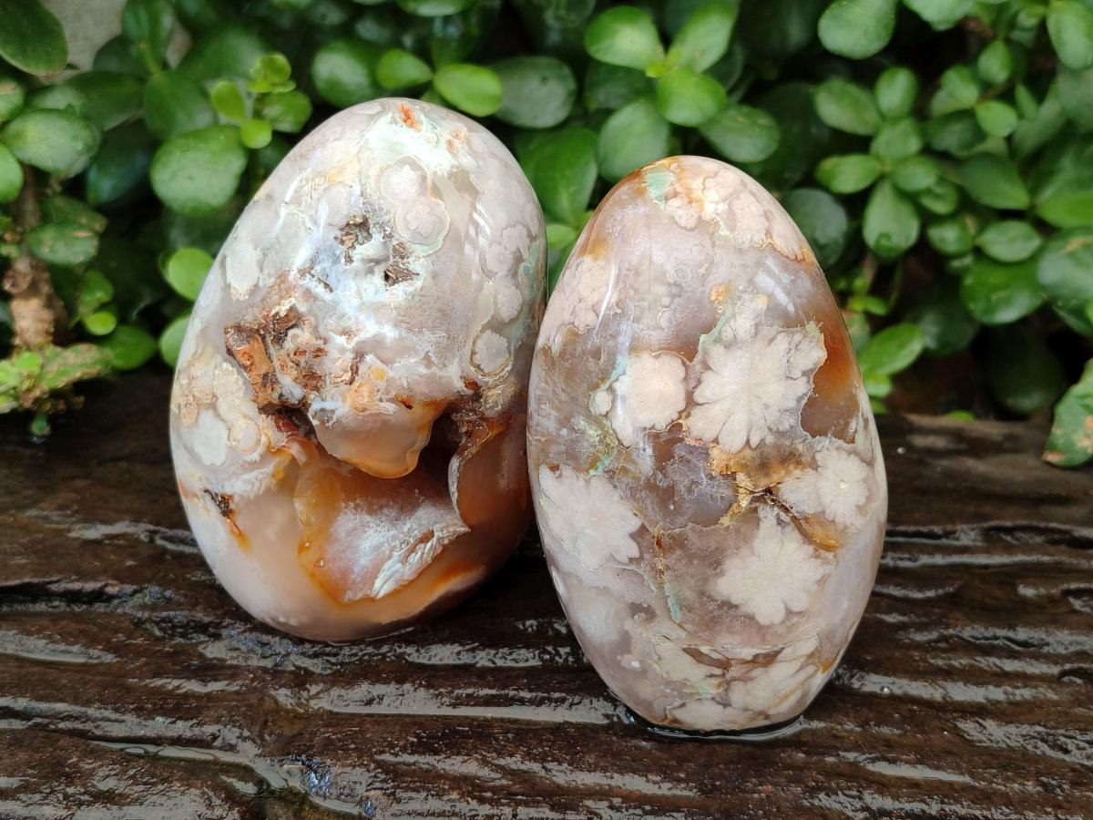 Polished Mixed Flower Agate Specimens x 3 From Antsahalova, Madagascar