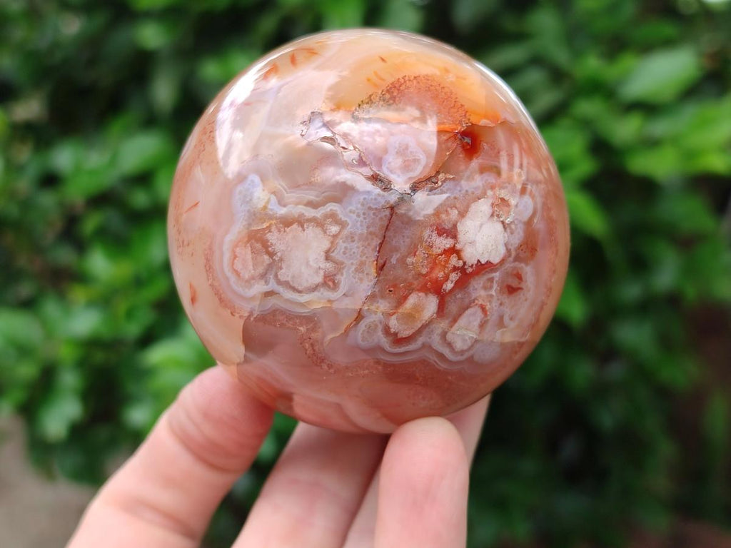Polished Mixed Flower Agate Specimens x 3 From Antsahalova, Madagascar