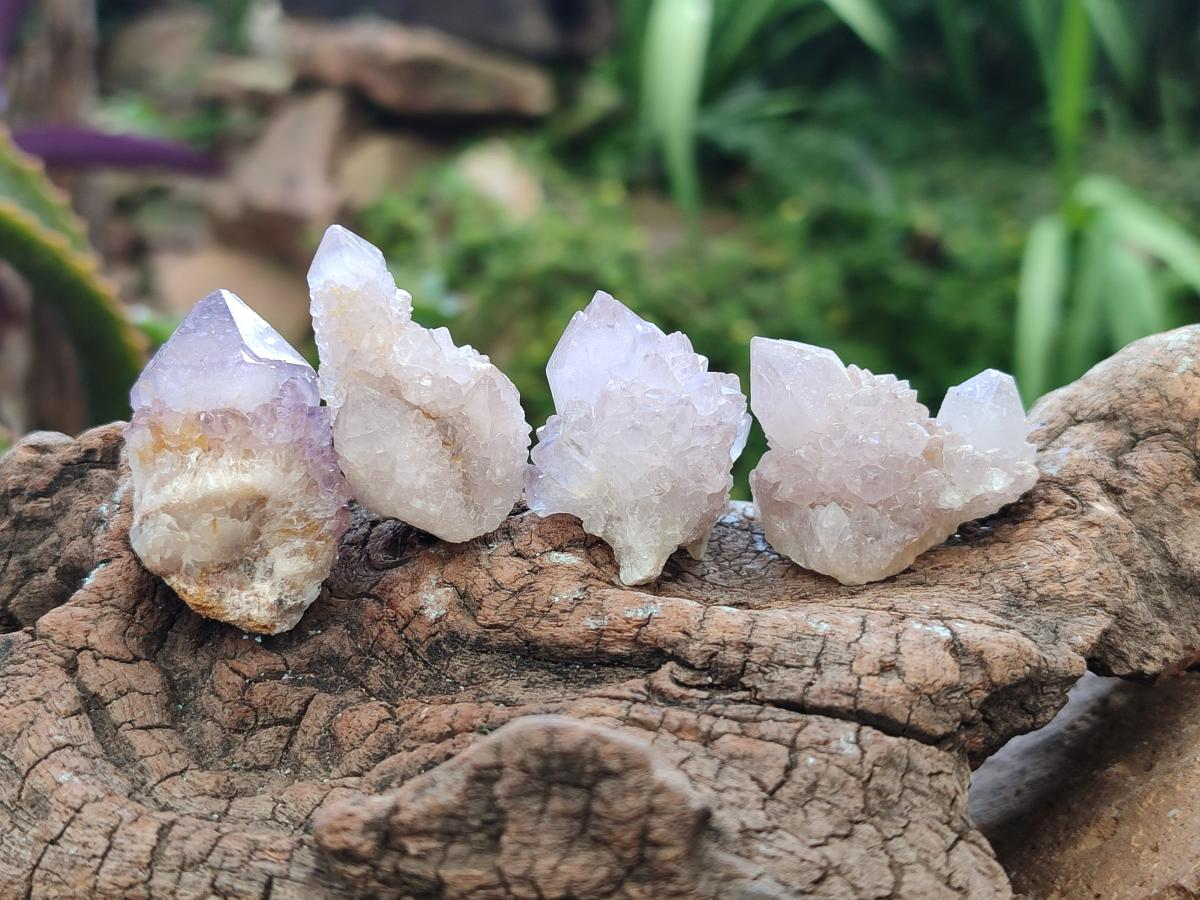 Natural Single Amethyst Spirit Crystals x 70 From Boekenhouthoek, South Africa