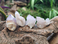 Natural Single Amethyst Spirit Crystals x 70 From Boekenhouthoek, South Africa