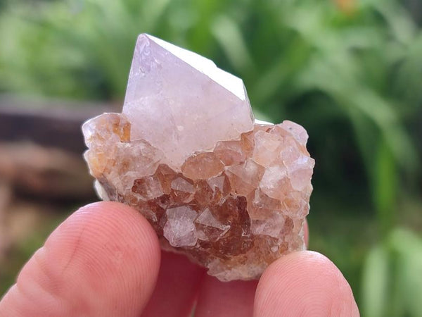 Natural Single Amethyst Spirit Crystals x 70 From Boekenhouthoek, South Africa