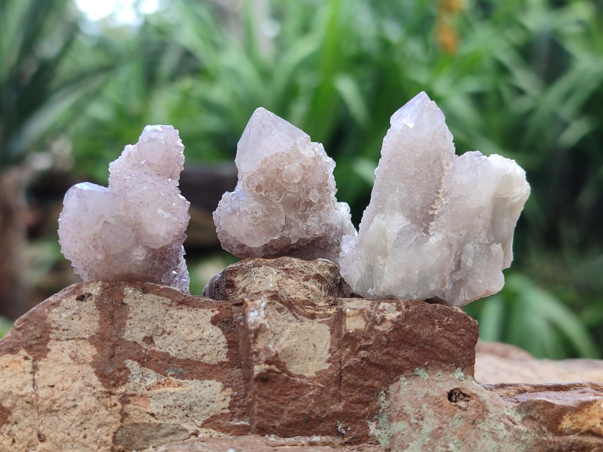 Natural Single Amethyst Spirit Crystals x 70 From Boekenhouthoek, South Africa