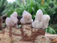 Natural Single Amethyst Spirit Crystals x 70 From Boekenhouthoek, South Africa