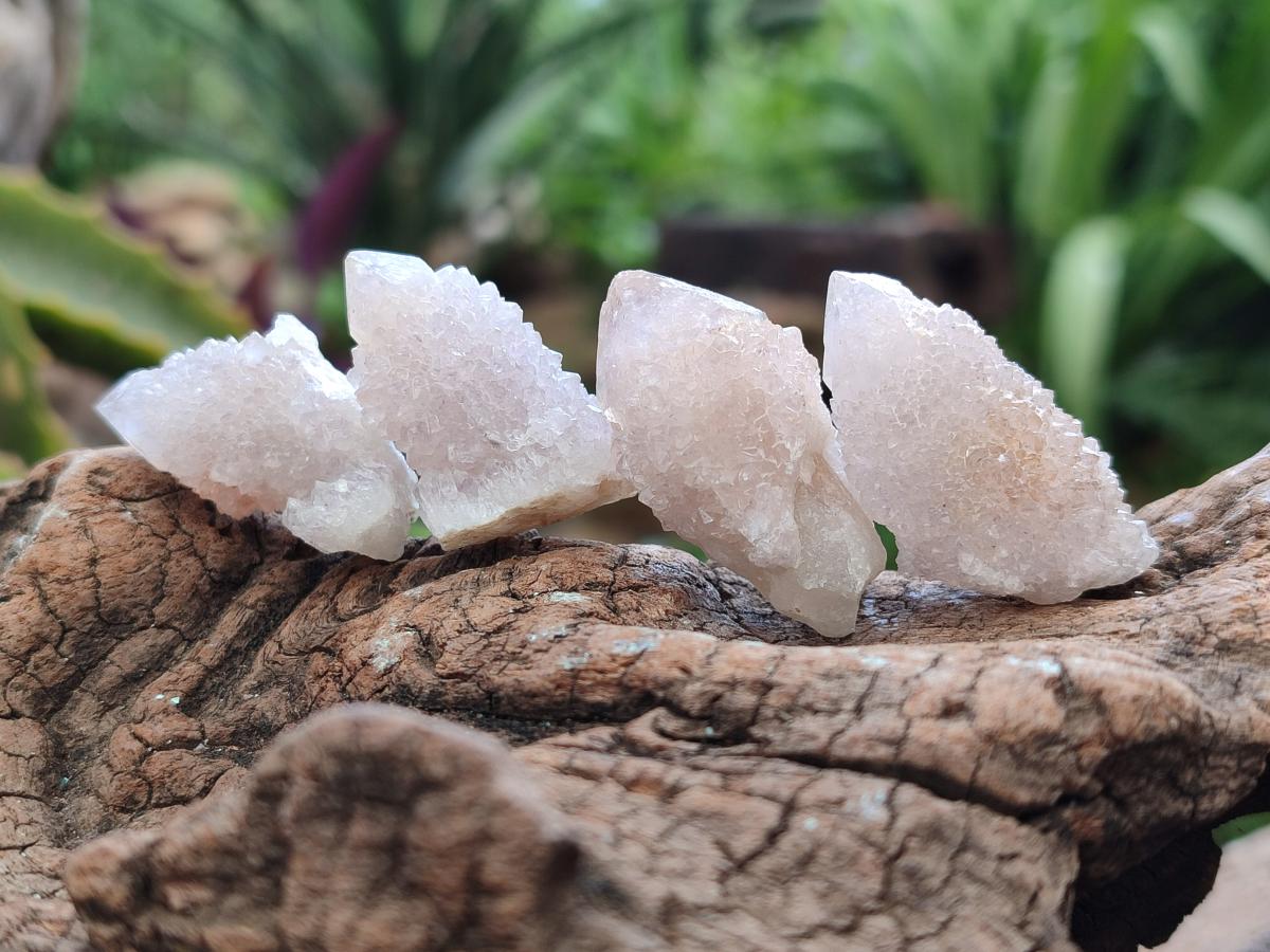 Natural Single Amethyst Spirit Crystals x 70 From Boekenhouthoek, South Africa