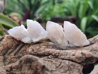 Natural Single Amethyst Spirit Crystals x 70 From Boekenhouthoek, South Africa