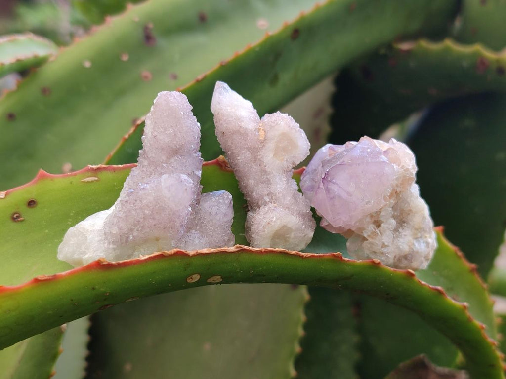 Natural Single Amethyst Spirit Crystals x 70 From Boekenhouthoek, South Africa