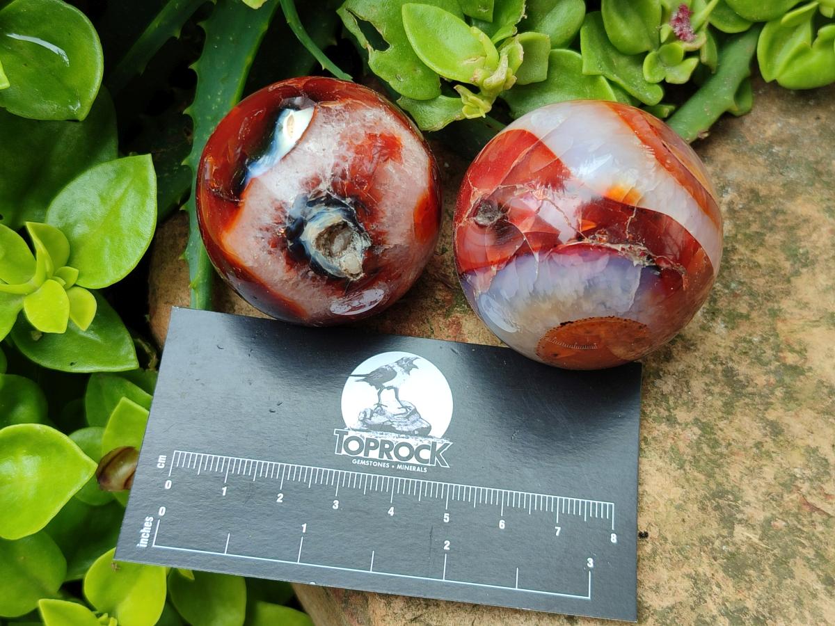 Polished Carnelian Agate Gemstone Spheres x 12 From Madagascar - Toprock Gemstones and Minerals 