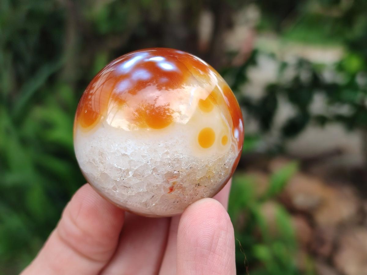 Polished Carnelian Agate Gemstone Spheres x 12 From Madagascar
