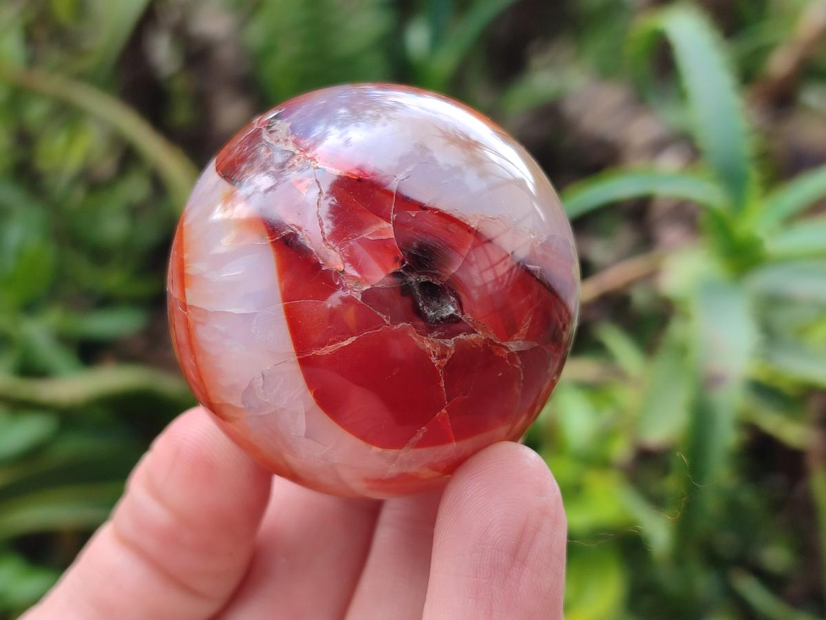 Polished Carnelian Agate Gemstone Spheres x 12 From Madagascar