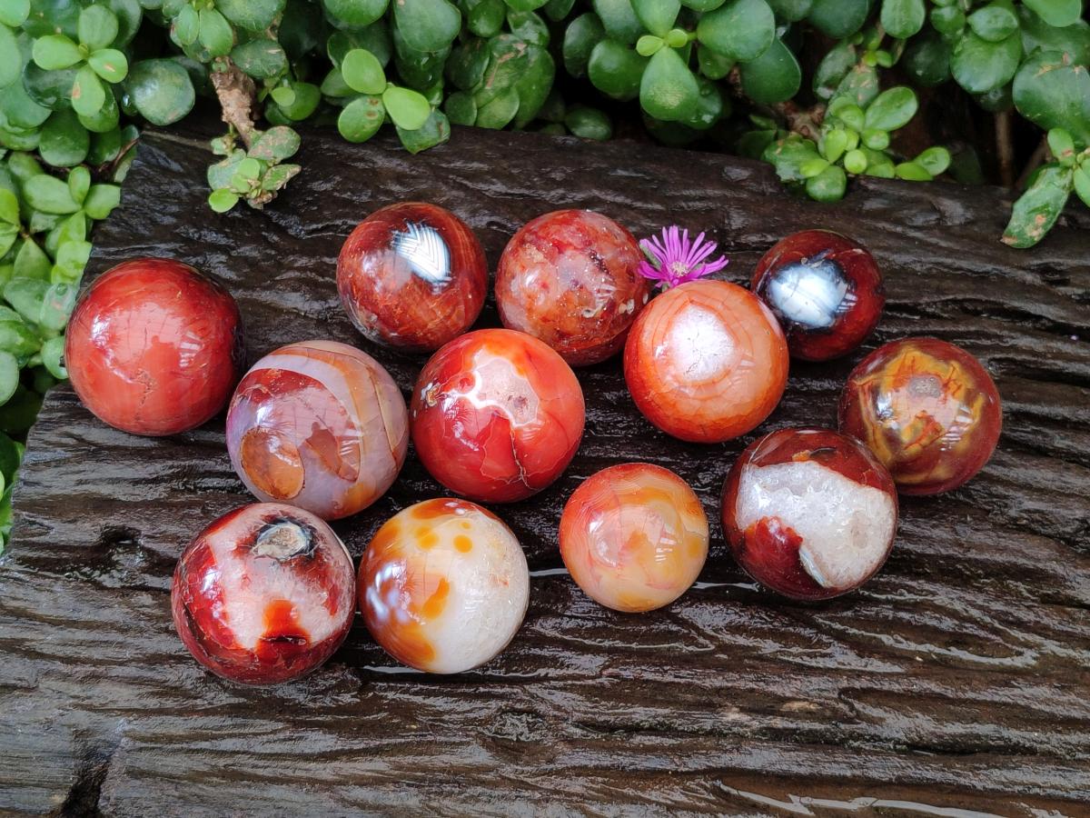 Polished Carnelian Agate Gemstone Spheres x 12 From Madagascar - Toprock Gemstones and Minerals 