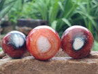 Polished Carnelian Agate Gemstone Spheres x 12 From Madagascar - Toprock Gemstones and Minerals 
