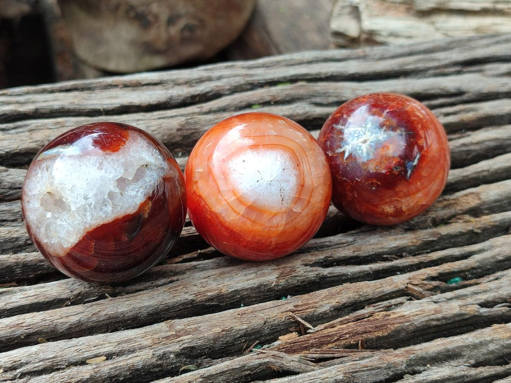Polished Carnelian Agate Gemstone Spheres x 12 From Madagascar - Toprock Gemstones and Minerals 