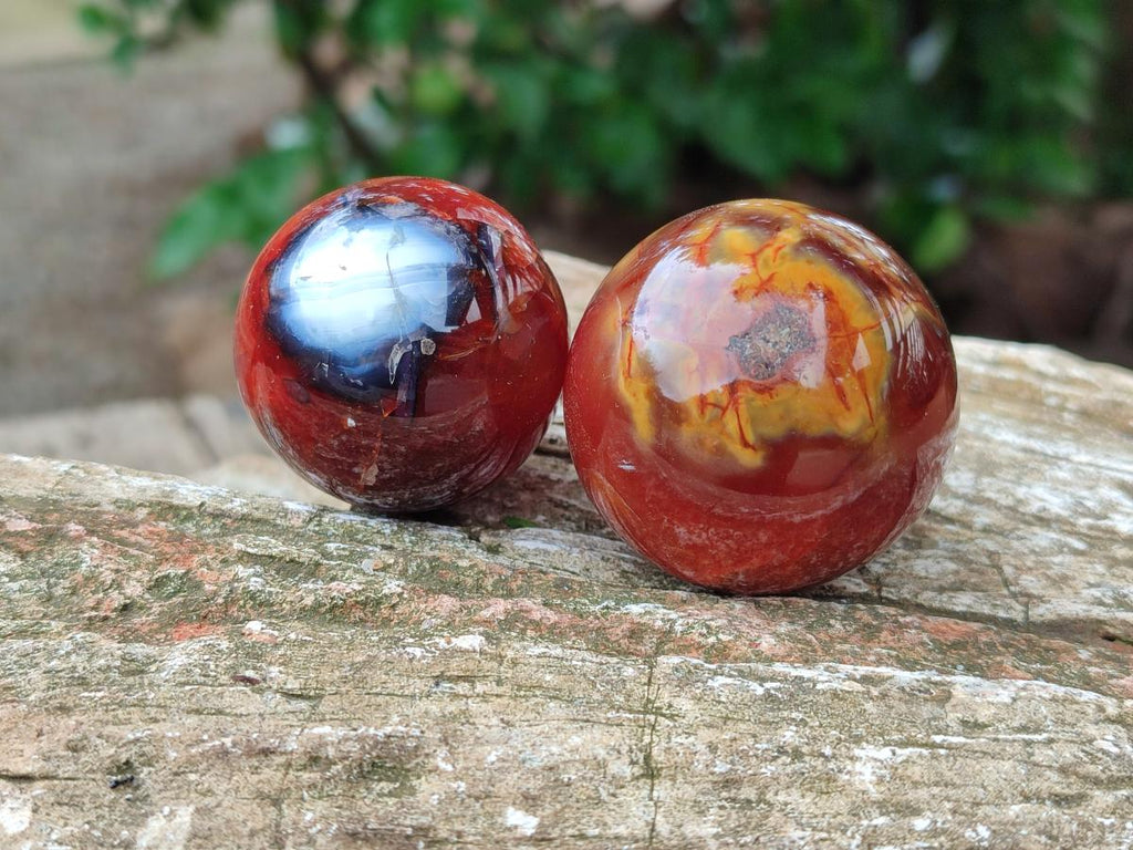 Polished Carnelian Agate Gemstone Spheres x 12 From Madagascar - Toprock Gemstones and Minerals 