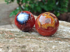 Polished Carnelian Agate Gemstone Spheres x 12 From Madagascar - Toprock Gemstones and Minerals 