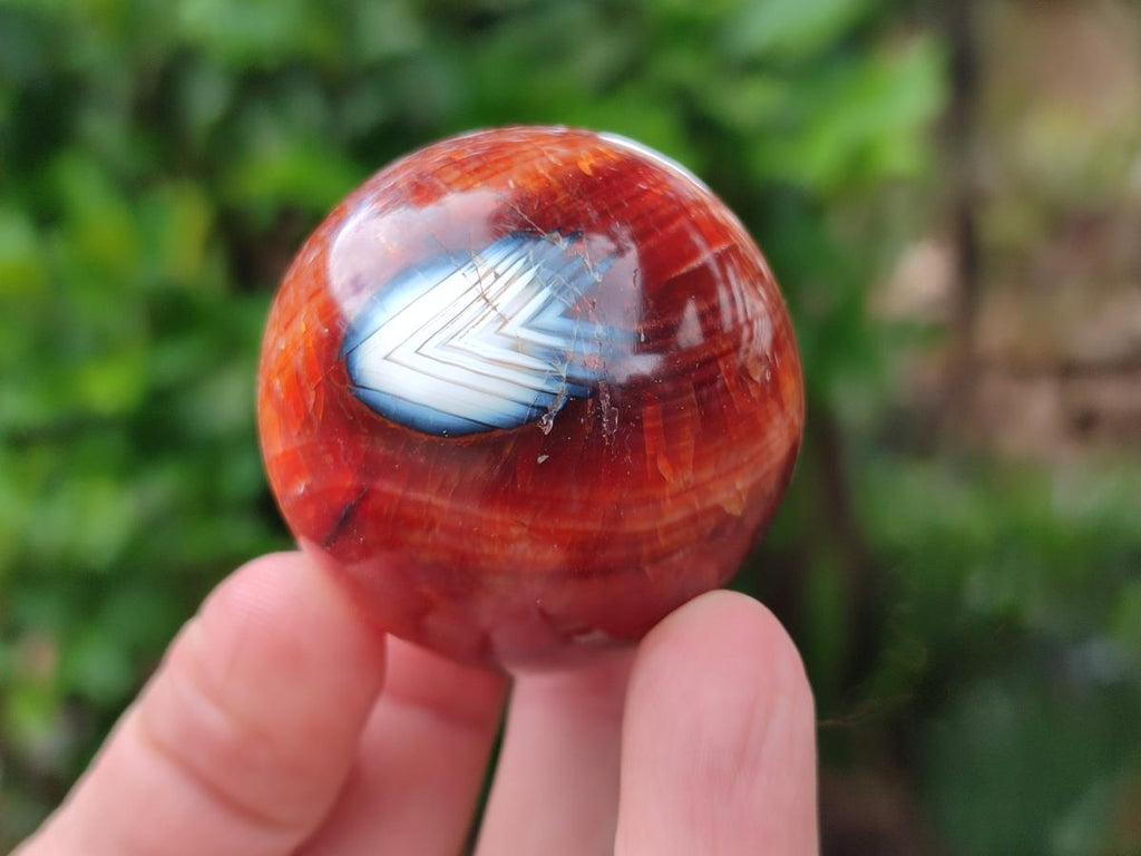 Polished Carnelian Agate Gemstone Spheres x 12 From Madagascar - Toprock Gemstones and Minerals 