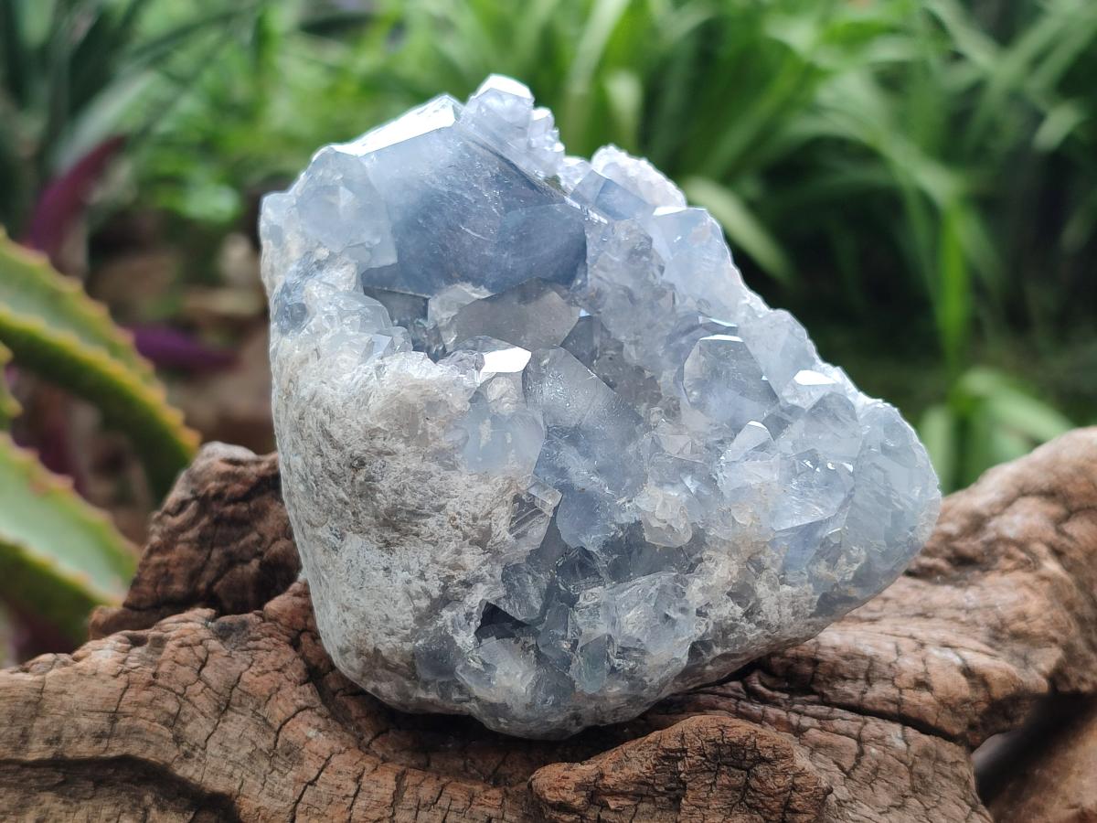 Natural Blue Celestite Geode Specimens x 2 From Sakoany, Madagascar