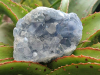 Natural Blue Celestite Geode Specimens x 2 From Sakoany, Madagascar