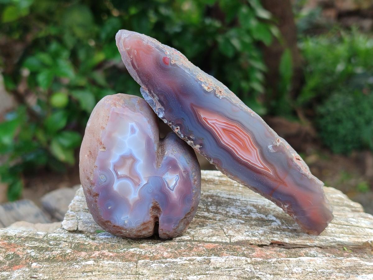 Polished Red Shashe River Agate Nodules x 7 From Shashe River, Zimbabwe