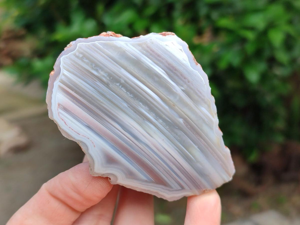 Polished Red Shashe River Agate Nodules x 7 From Shashe River, Zimbabwe