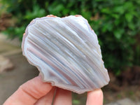 Polished Red Shashe River Agate Nodules x 7 From Shashe River, Zimbabwe