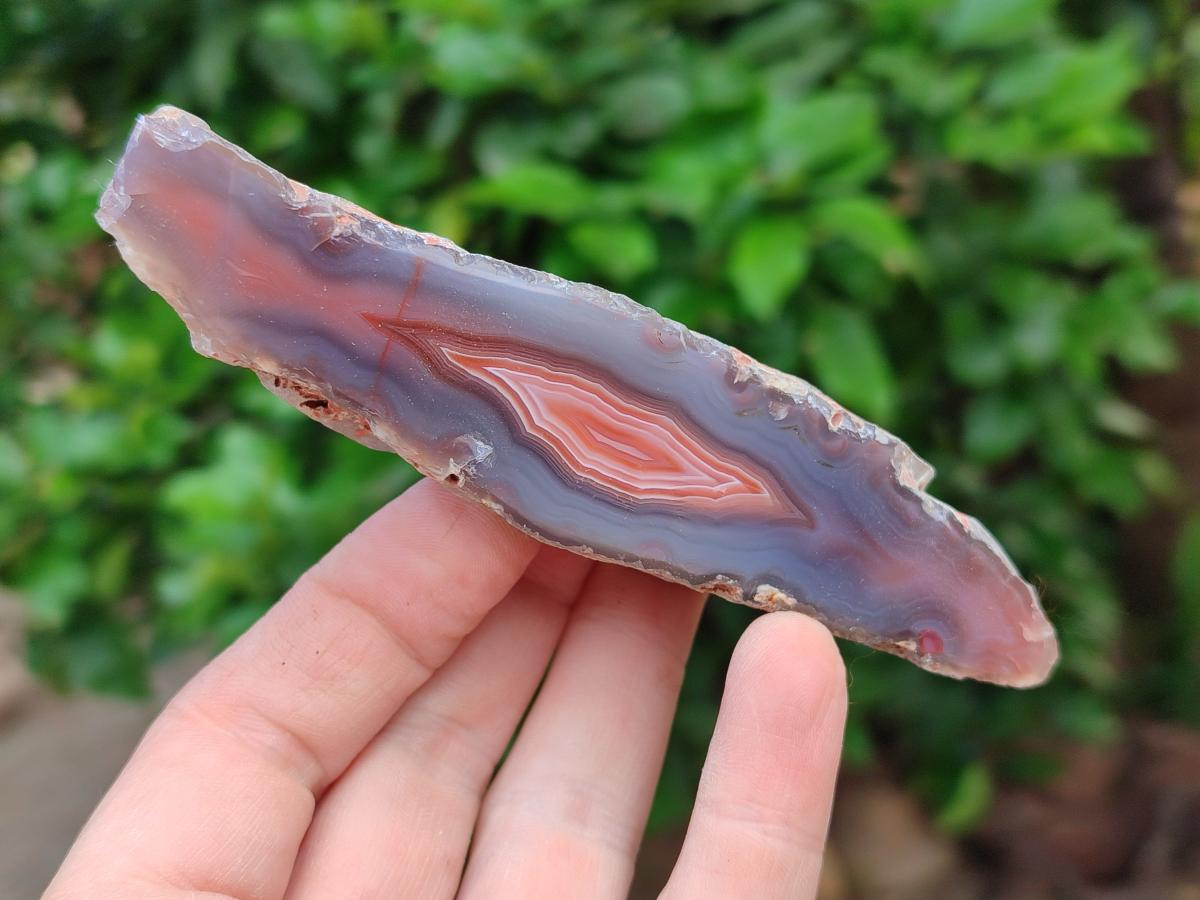 Polished Red Shashe River Agate Nodules x 7 From Shashe River, Zimbabwe