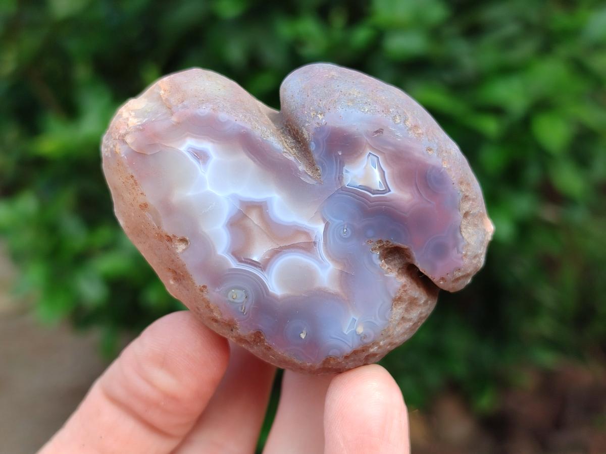 Polished Red Shashe River Agate Nodules x 7 From Shashe River, Zimbabwe