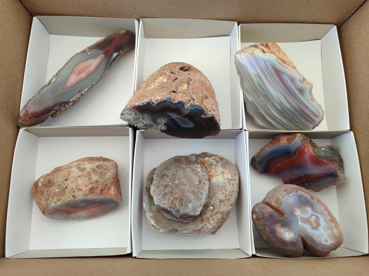 Polished Red Shashe River Agate Nodules x 7 From Shashe River, Zimbabwe