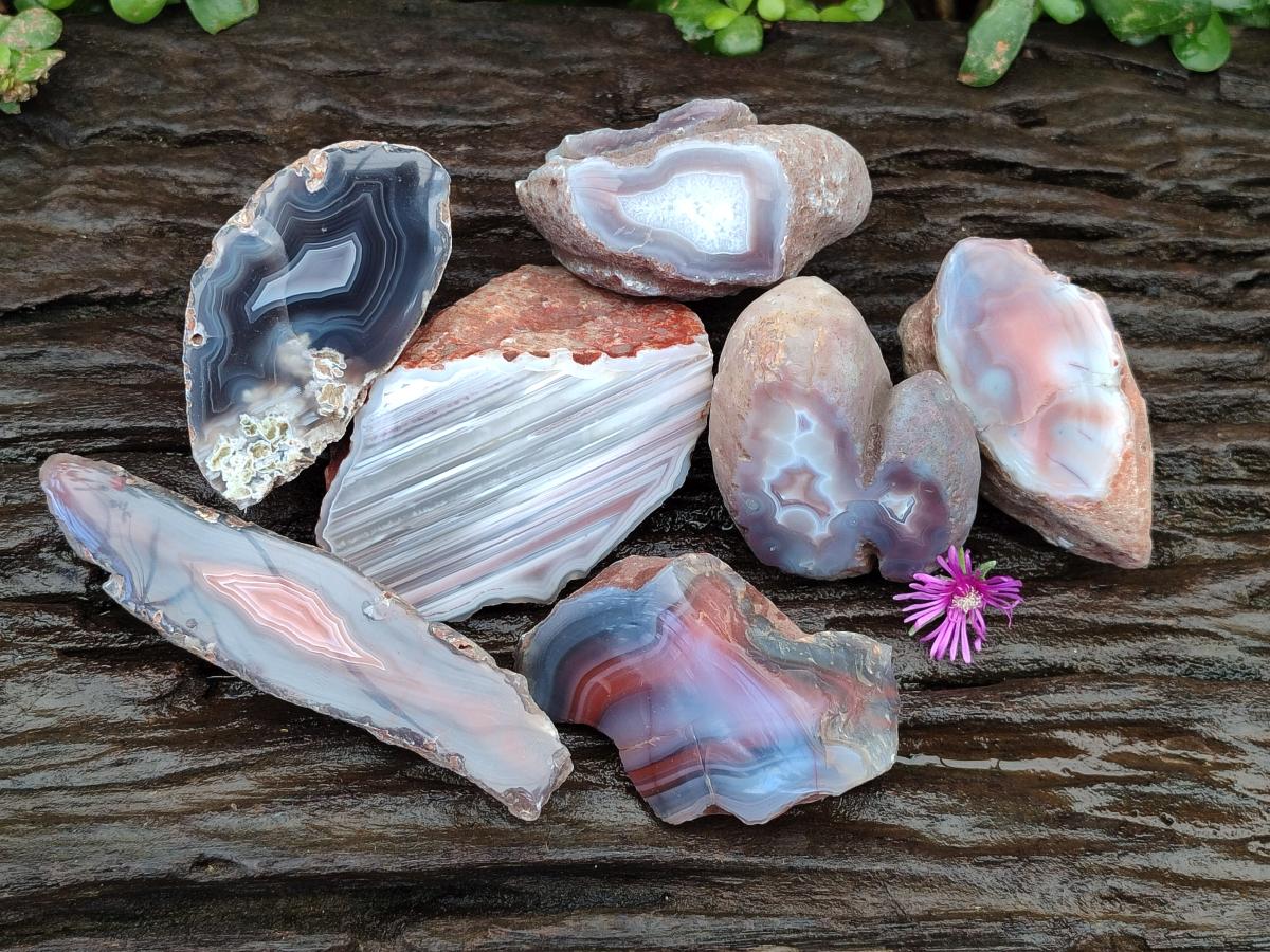 Polished Red Shashe River Agate Nodules x 7 From Shashe River, Zimbabwe